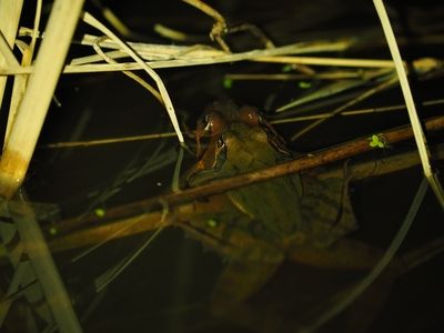 201501241326_1