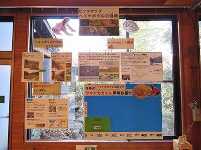 写真2