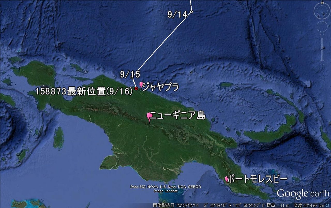 地球の渡り方2016～日本野鳥の会オオジシギ渡りルートの調査【158874】10/10_渡りを開始【158873】9/16＿中継地へ到着【158873】9/14＿ニューギニア島へあと700km