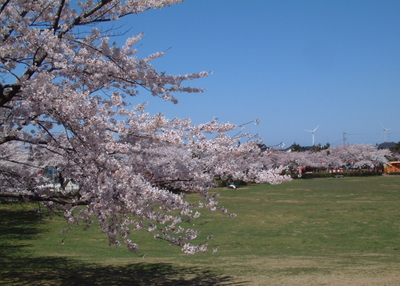 20100426日和山2