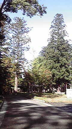 2011101810280000