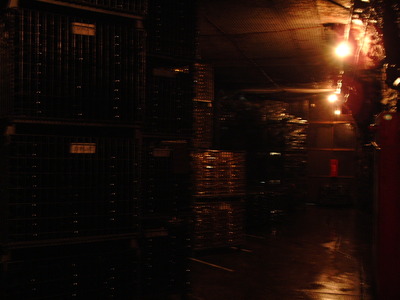 DSCF0506