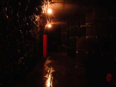 DSCF0502