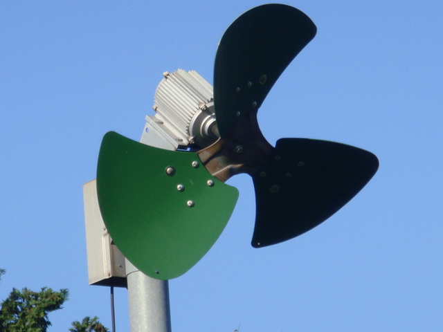 カメリアシネンシス お天気お姉さんのプチ日記