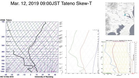 skew-T