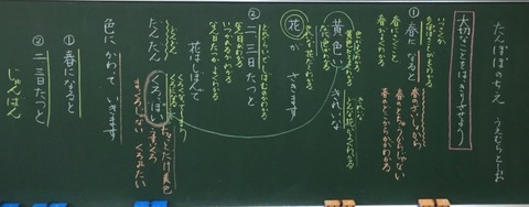 2年生国語 たんぽぽのちえ 19 4 教育実践を語る 服部英雄のブログ 2年生国語 たんぽぽのちえ 19 4 教育実践を語る 服部英雄のブログ