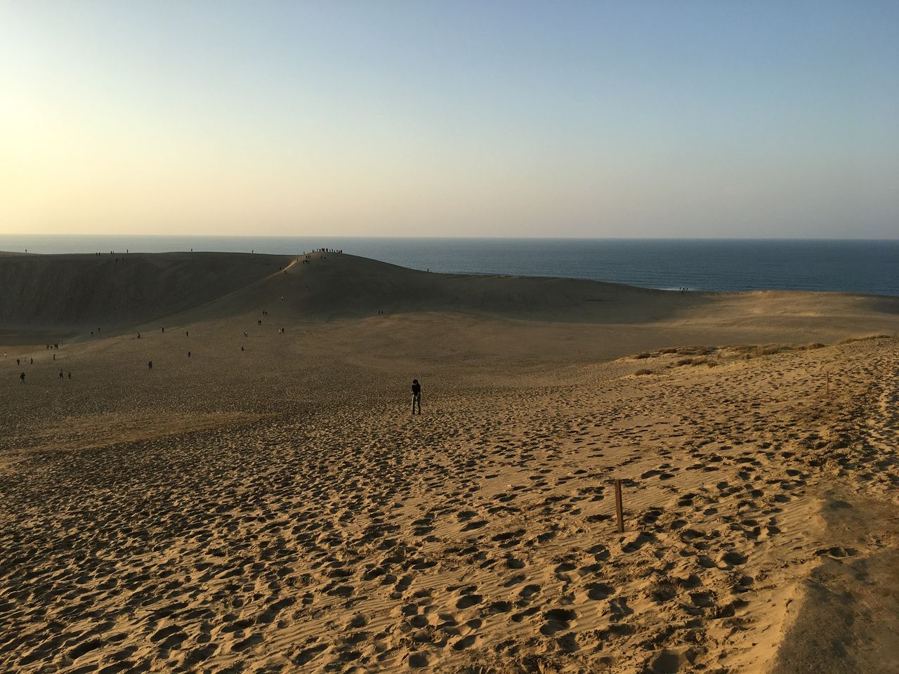 鳥取砂丘 教育実践を語る 服部英雄のブログ