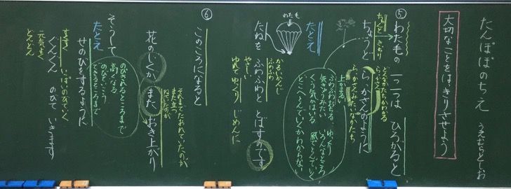 2年生国語 たんぽぽのちえ 19 6 教育実践を語る 服部英雄のブログ 2年生国語 たんぽぽのちえ 19 6 教育実践を語る 服部英雄のブログ