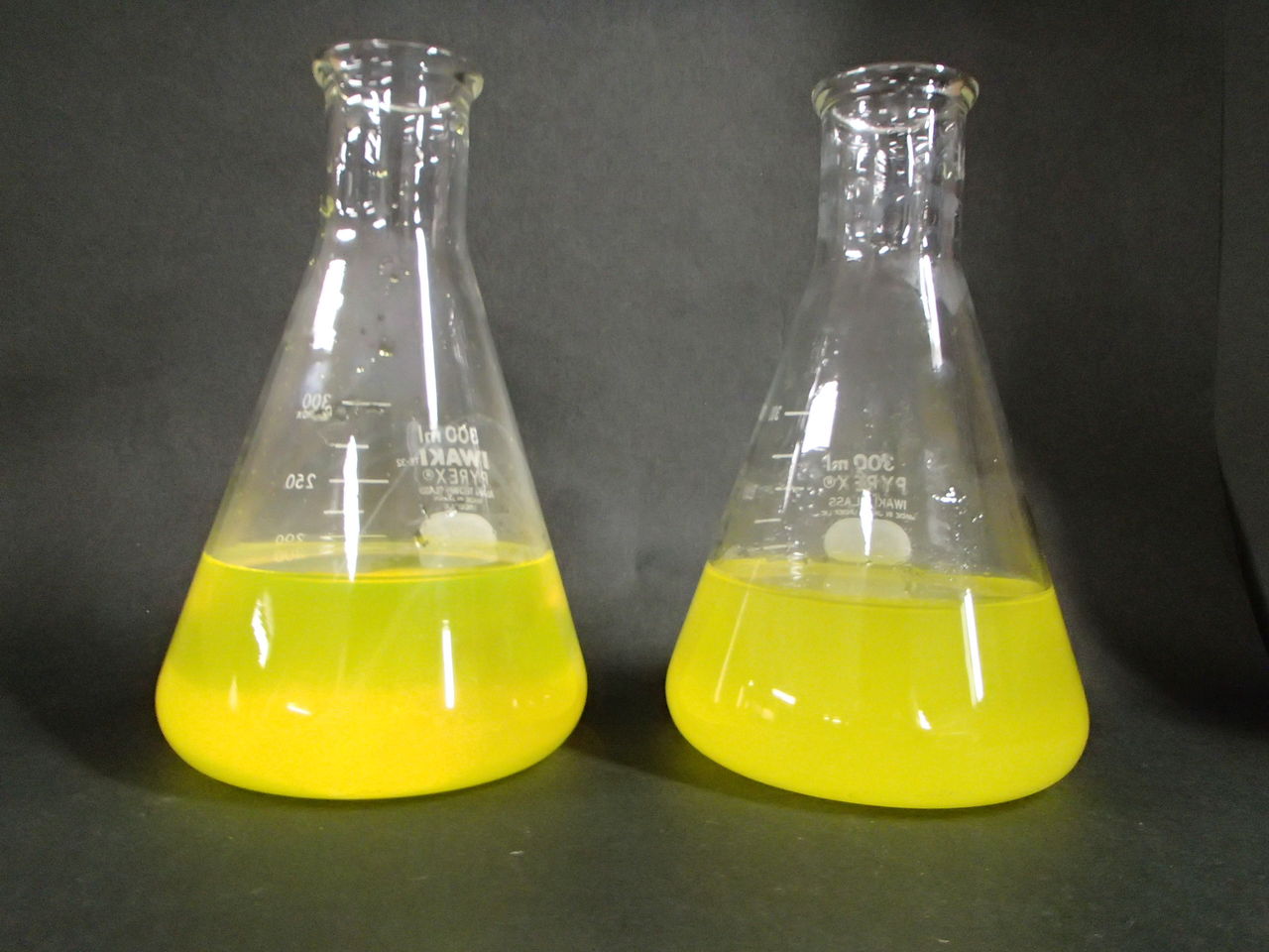 輝け ブラックライト Web247