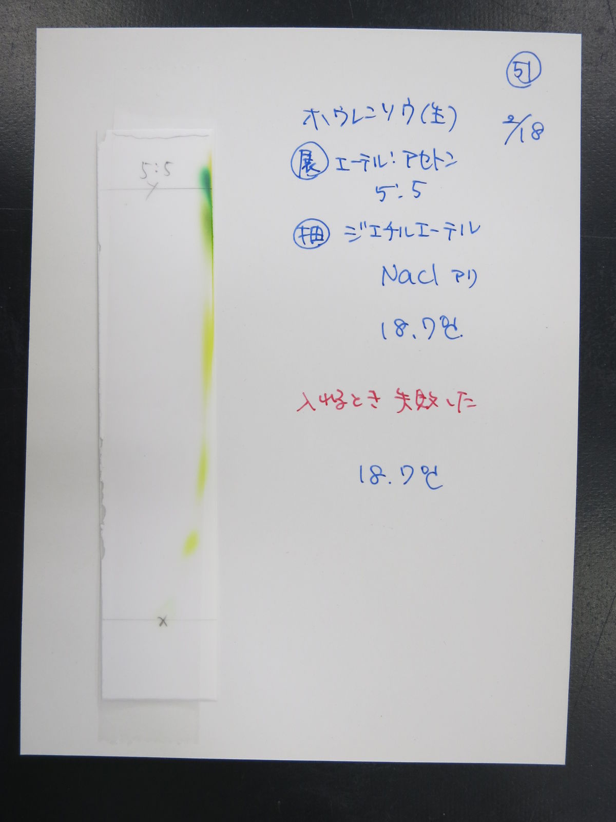光合成色素の分離18 その1 Web247 光合成色素の分離18 その1 Web247