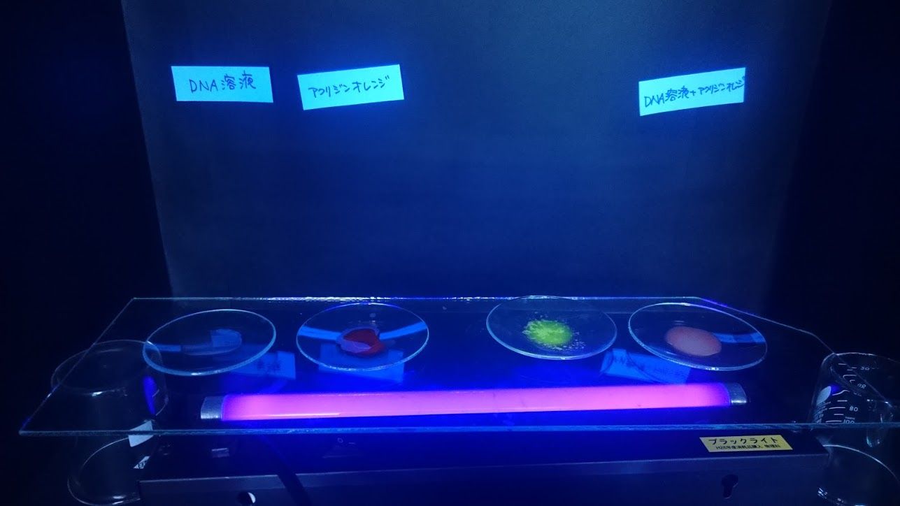 ジフェニルアミンによるdnaの確認 Web247