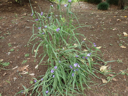 P5220368
