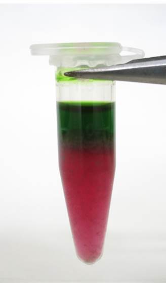 ¥´¥Æ¥ó¥Ø¥¥µ¥ó