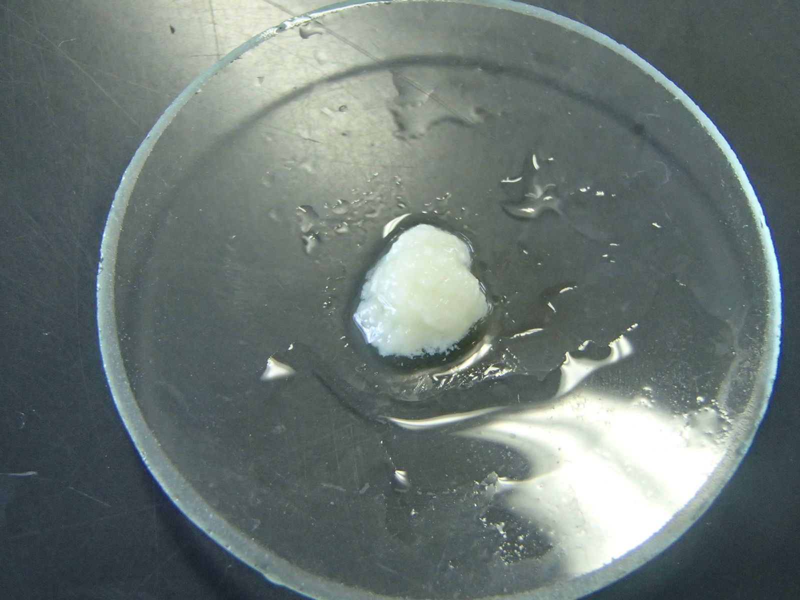 いろんなものからdna １ Web247