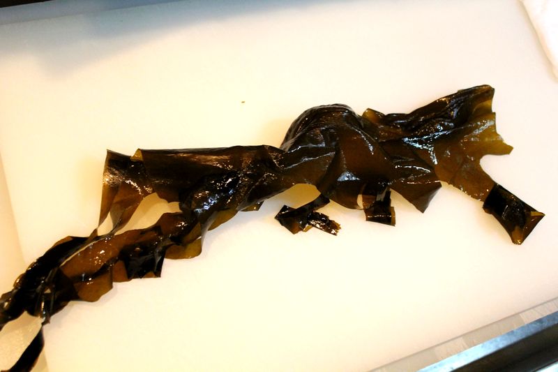 光合成色素の分離18 その８ 海藻三種盛り合わせ Web247