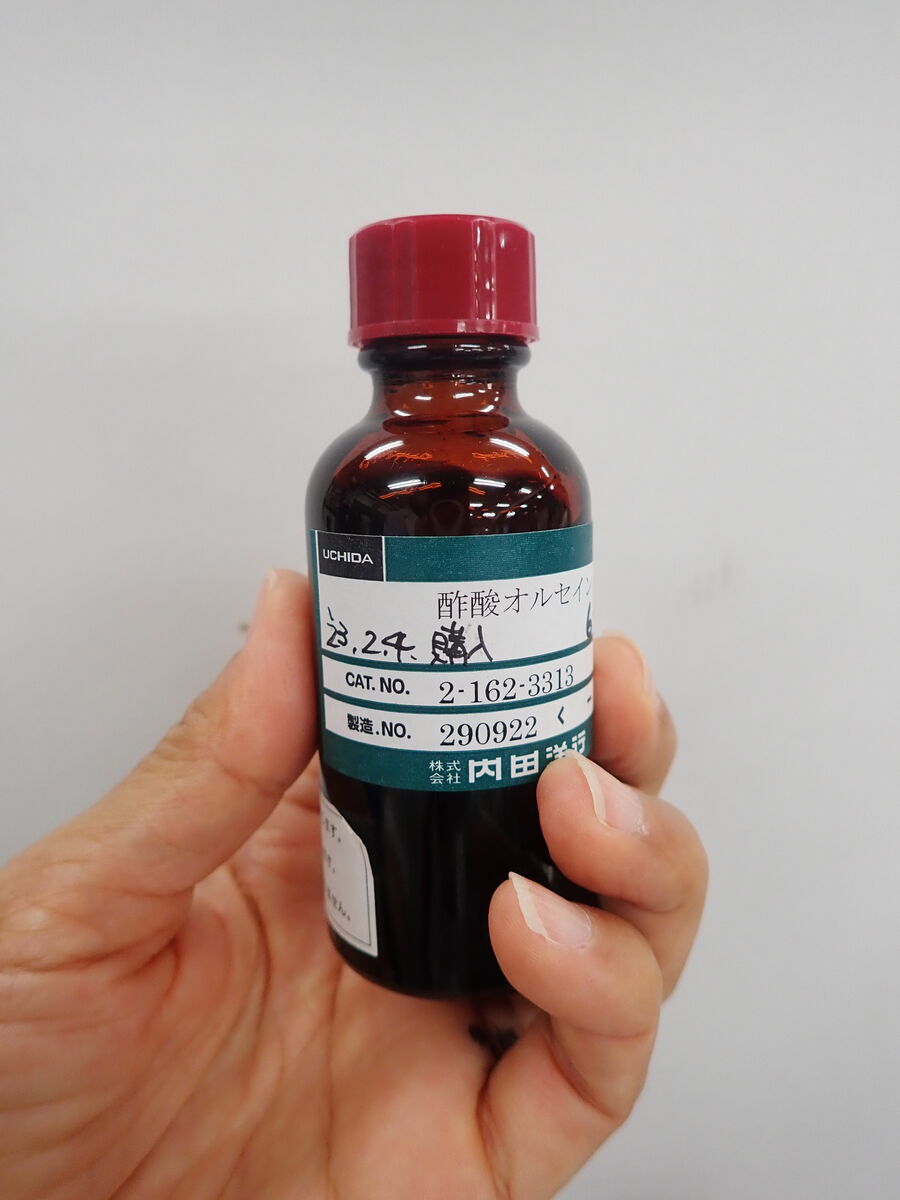 【SALE】 染色液 酢酸カーミン 50mL top1-ds-2211116 [独自簡易包装]（り おもちゃ