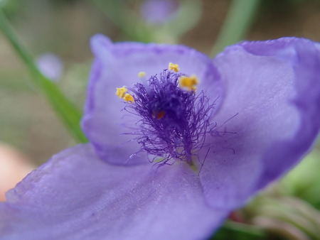 P5220371