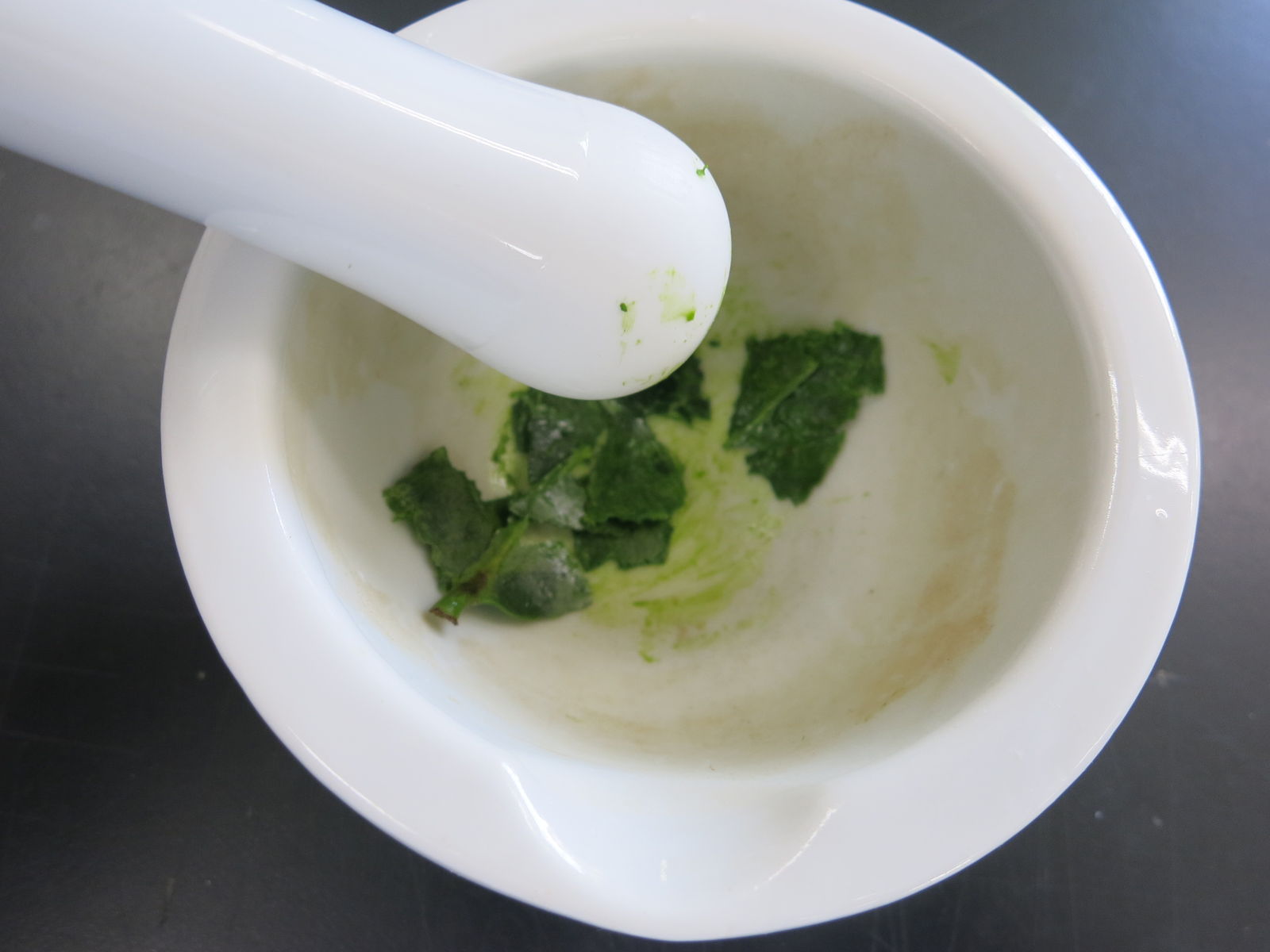 光合成色素の分離18 その１ Web247