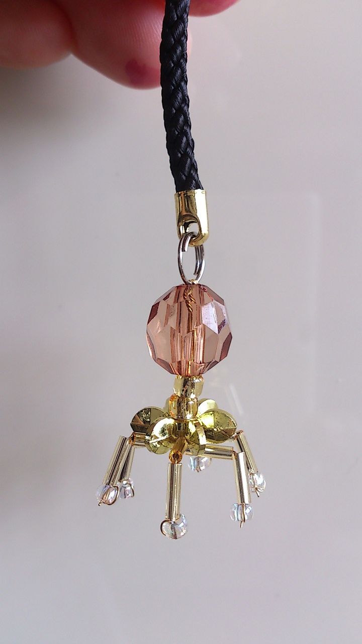 ファージストラップを作ってみた Web247