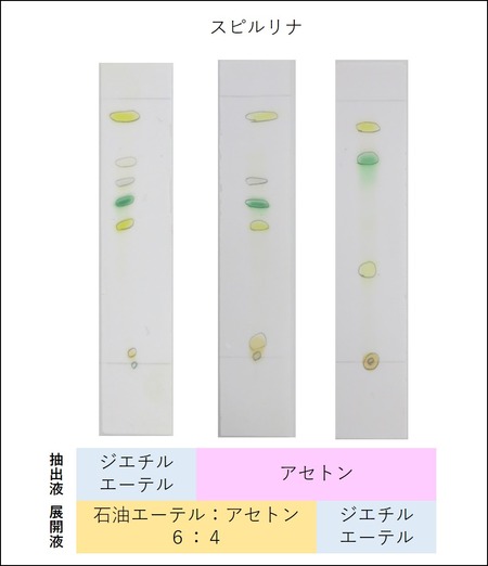 光合成色素の分離 Web247