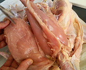 鶏の解剖 画像注意 Web247