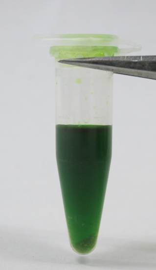 ¥Û¥¦¥ì¥ó¥½¥¦¥¢¥»¥È¥ó