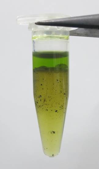 ¥¦¥á¥Î¥¥Ø¥¥µ¥ó