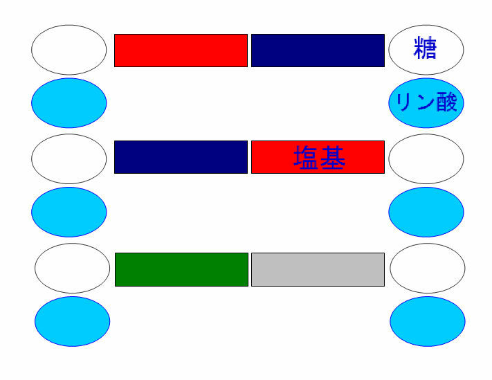 livedoor