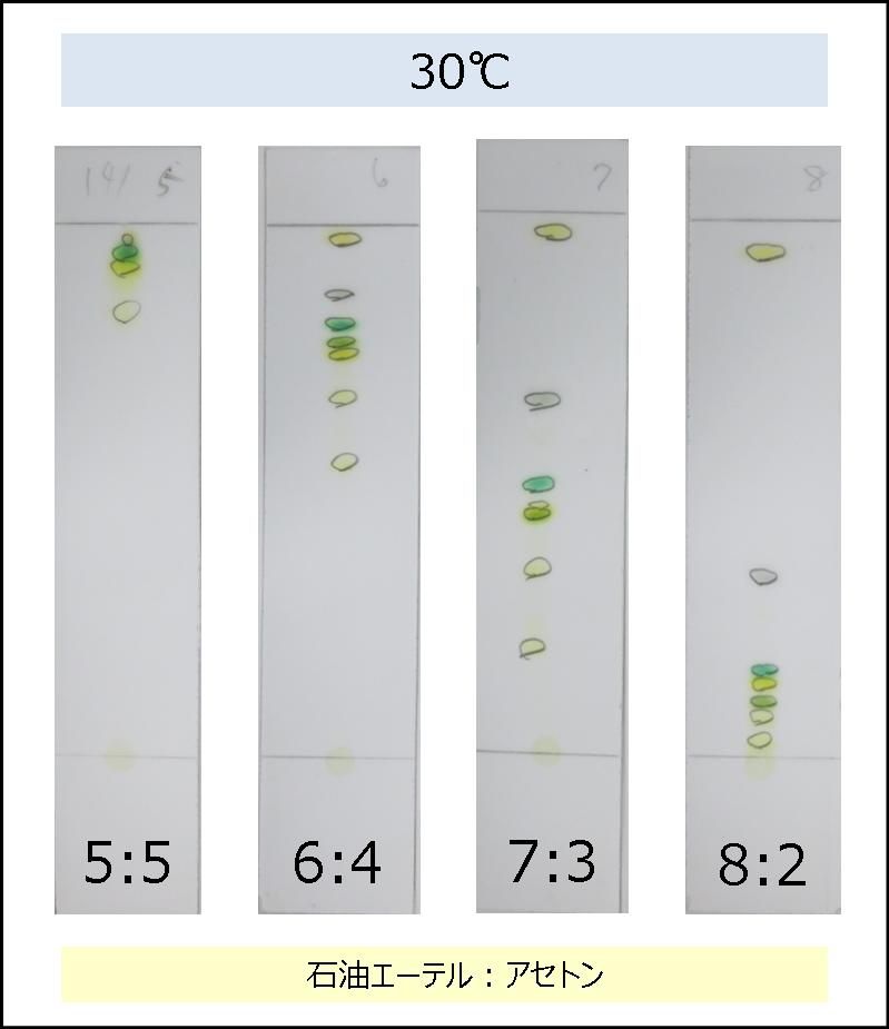 光合成色素の分離 温度と展開液の割合 Web247