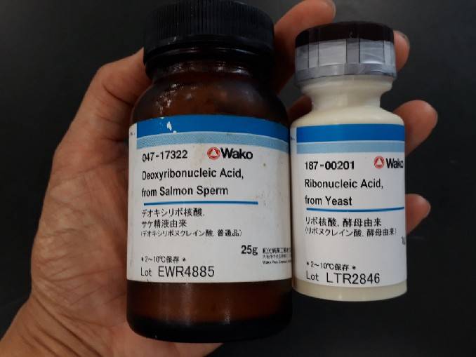 ジフェニルアミンによるdnaの確認 Web247