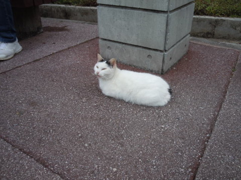 DSCN0104