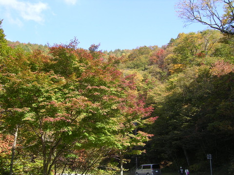 日光紅葉