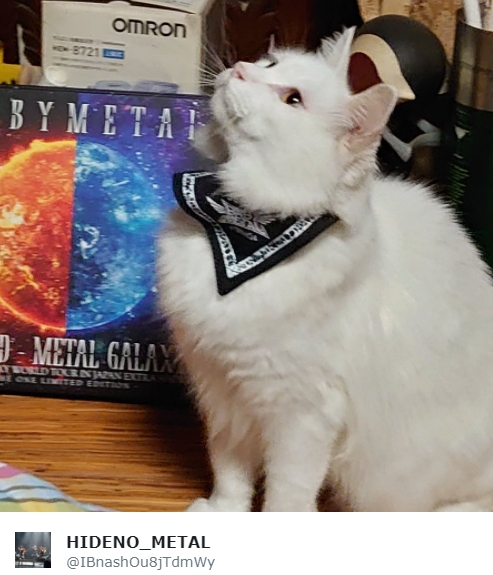 10926