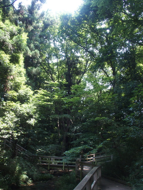P6200350