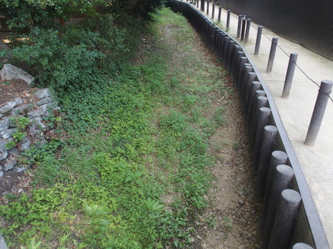 P6200422