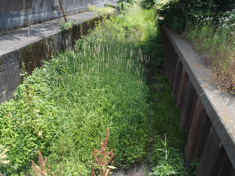 P6200405