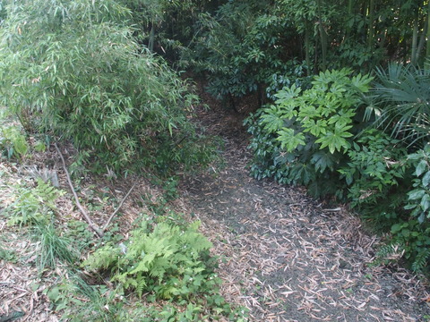 P6200435
