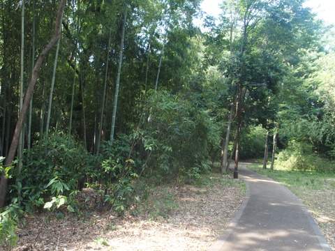 P6200436