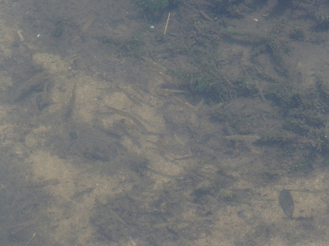 P6200342