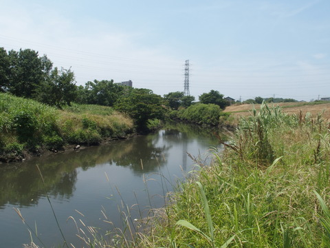 P6200310