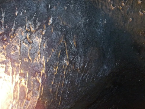 P8140118