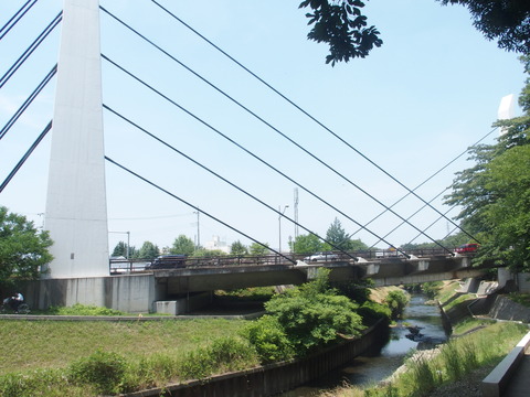 P6200346
