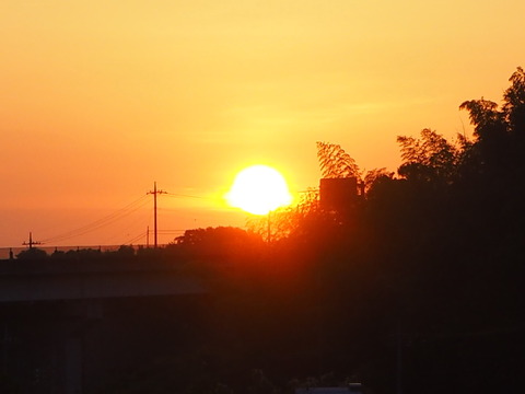 P6050037a