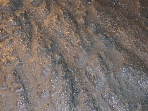 P8140167