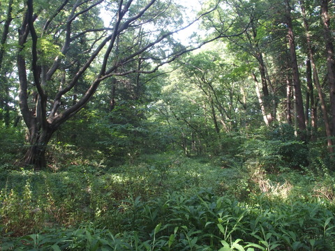 P6200448