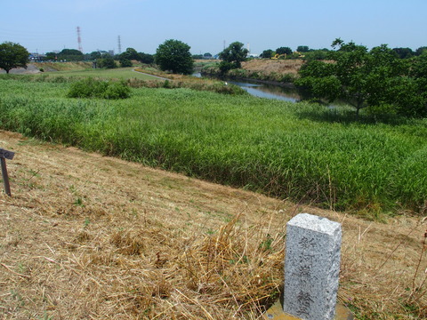 P6200291