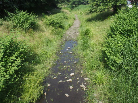P6200428
