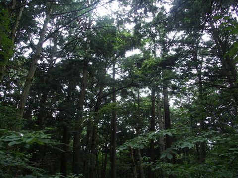 P8140103