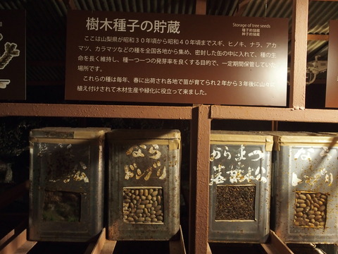 P8140168