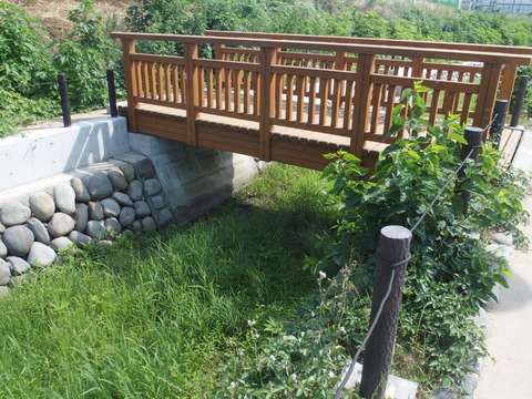 P6200425